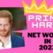 Prince Harry net worth in 2023