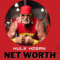 Hulk Hogan Net Worth | Ultimate Net Worth