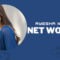 Ayesha Khan Net Worth in 2024